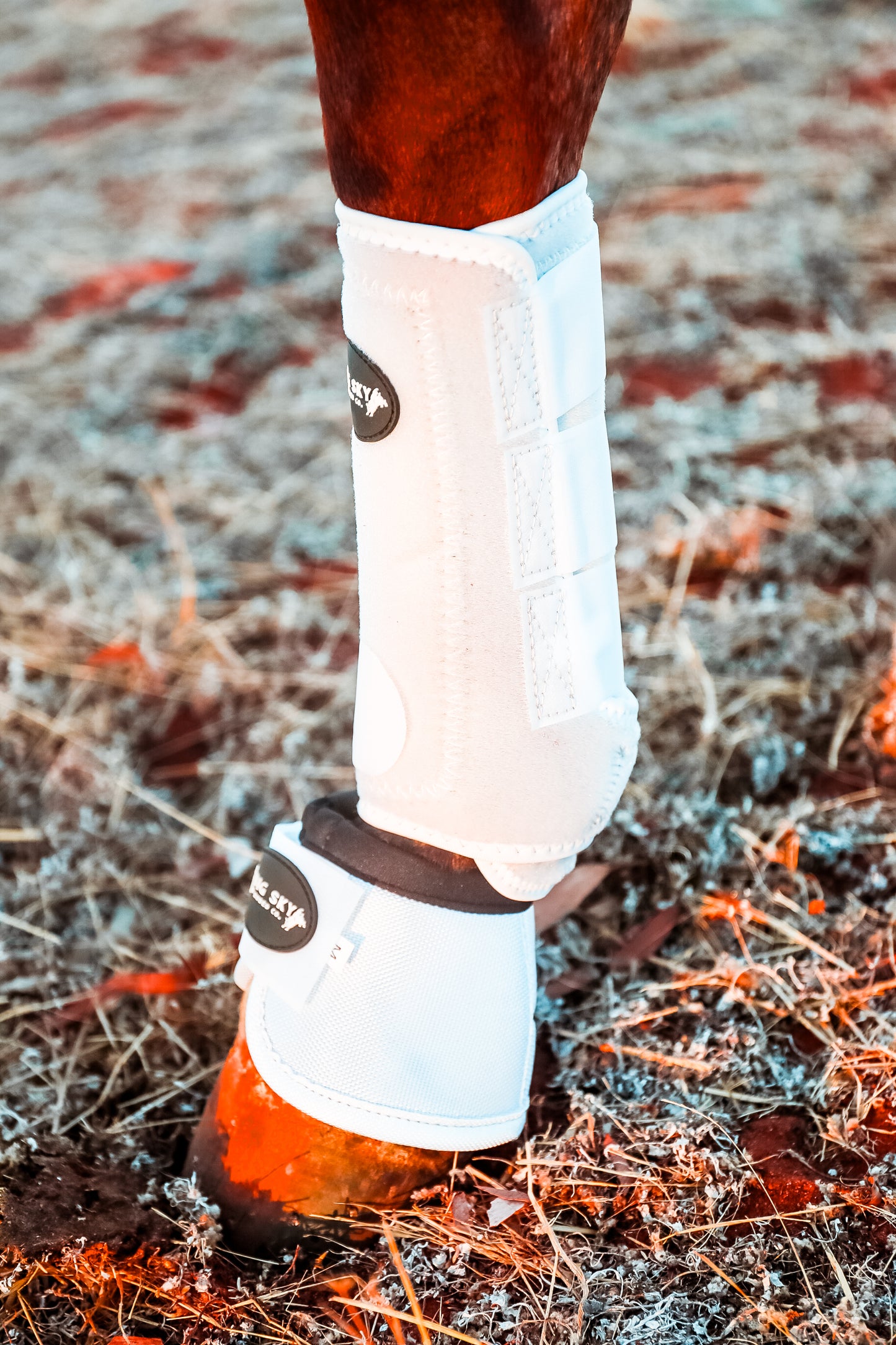 Timeless White Boots